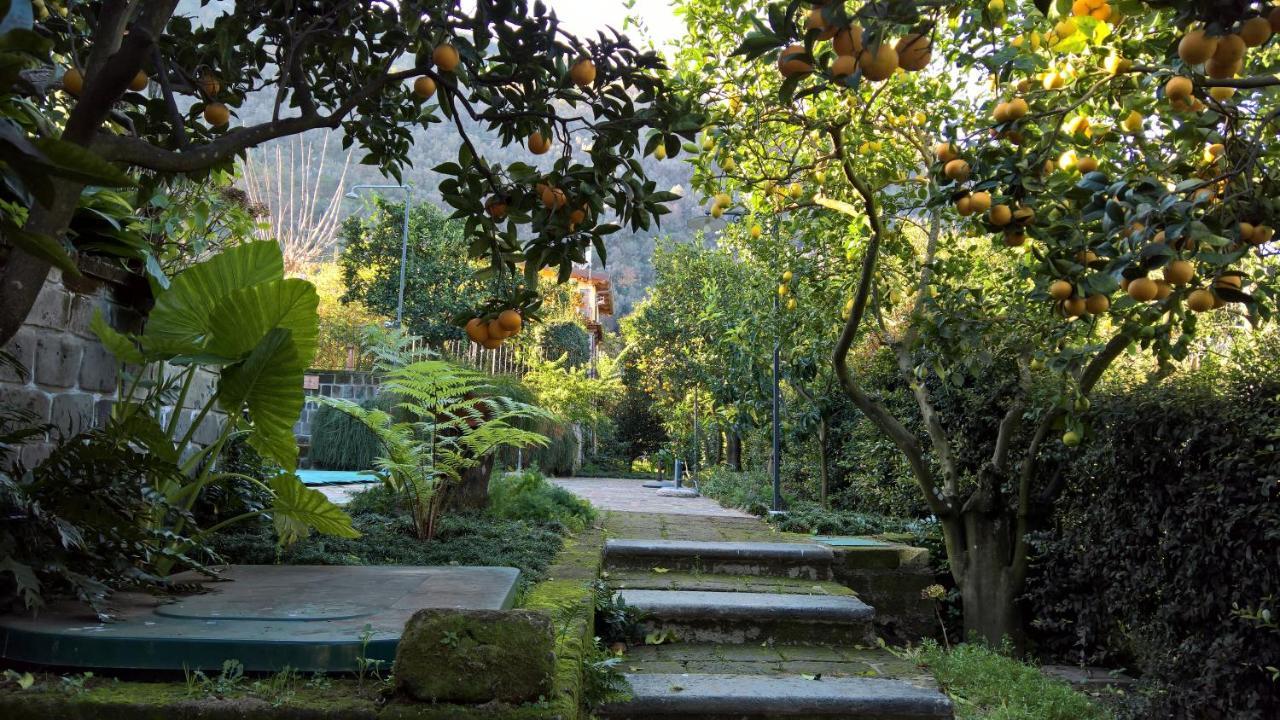 Villa Flavia Sant'Agnello Buitenkant foto