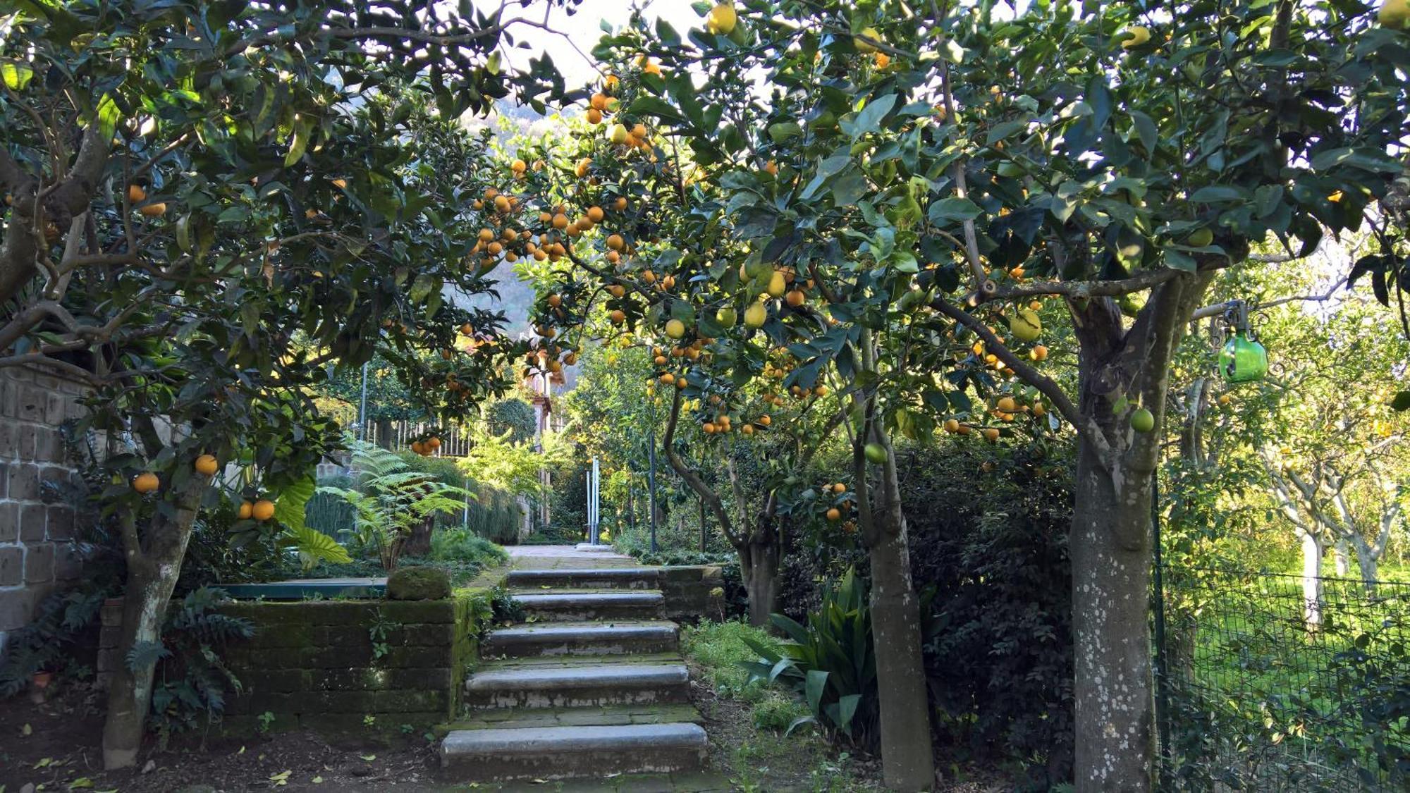 Villa Flavia Sant'Agnello Buitenkant foto